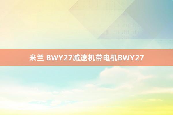 米兰 BWY27减速机带电机BWY27