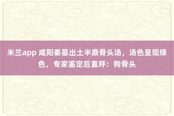 米兰app 咸阳秦墓出土半鼎骨头汤，汤色呈现绿色，专家鉴定后直呼：狗骨头