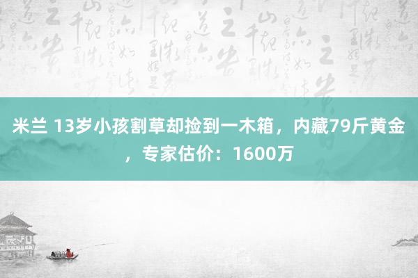 米兰 13岁小孩割草却捡到一木箱，内藏79斤黄金，专家估价：1600万