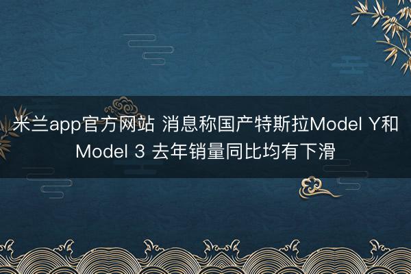 米兰app官方网站 消息称国产特斯拉Model Y和Model 3 去年销量同比均有下滑