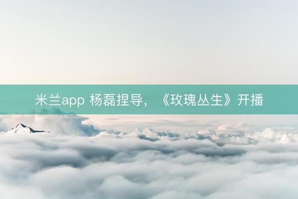 米兰app 杨磊捏导,《玫瑰丛生》开播