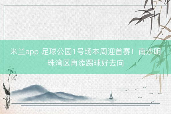 米兰app 足球公园1号场本周迎首赛！南沙明珠湾区再添踢球好去向
