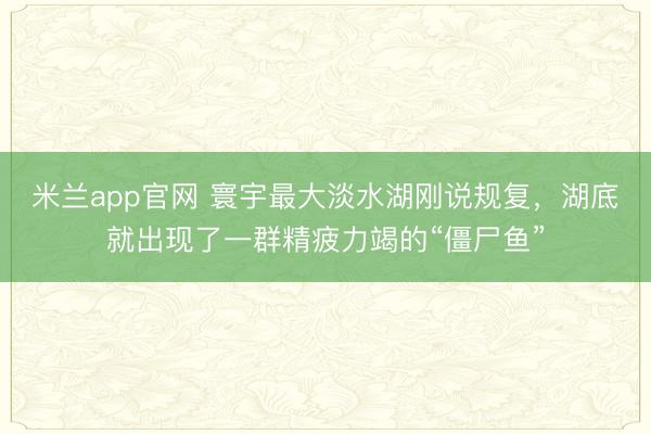 米兰app官网 寰宇最大淡水湖刚说规复，湖底就出现了一群精疲力竭的“僵尸鱼”