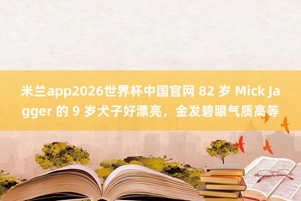 米兰app2026世界杯中国官网 82 岁 Mick Jagger 的 9 岁犬子好漂亮,金发碧眼气质高等