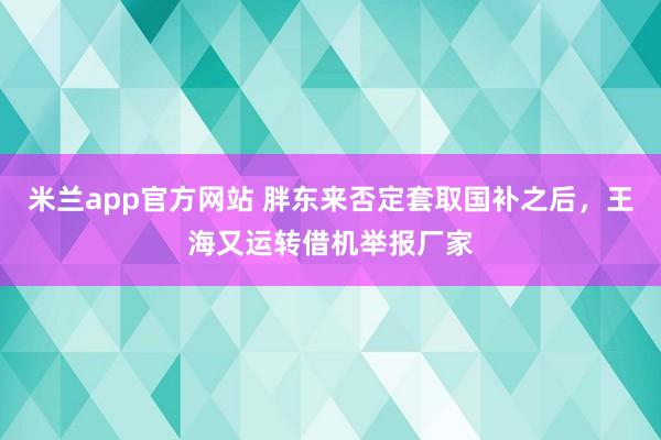 米兰app官方网站 胖东来否定套取国补之后,王海又运转借机举报厂家